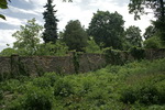grafika